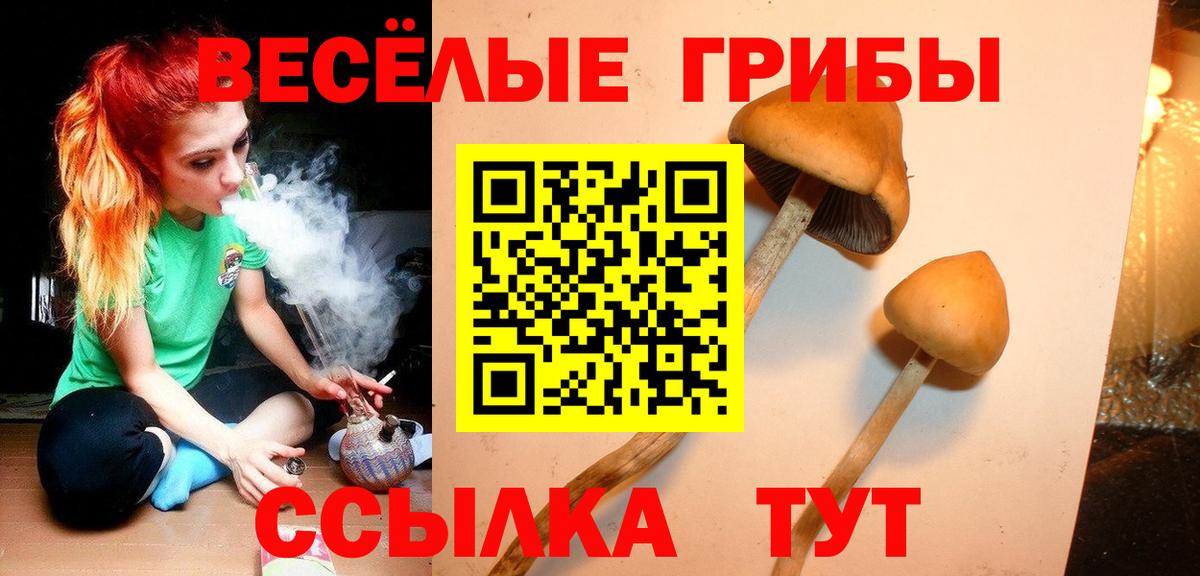 Гай  Псилоцибиновые грибы GOLDEN TEACHER  Вход с VPN 