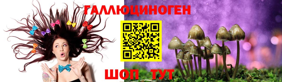 ГАШ  Альфа ПВП СК   Меф кристаллы  Гай  Лсд 25  Гашиш  Вход с VPN  Кокаин  Конопля 