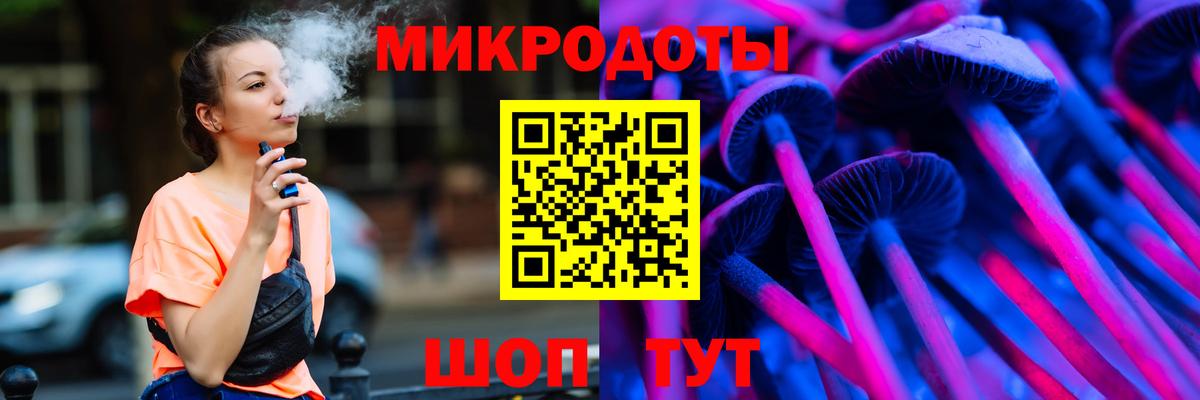 МЕФ Гай